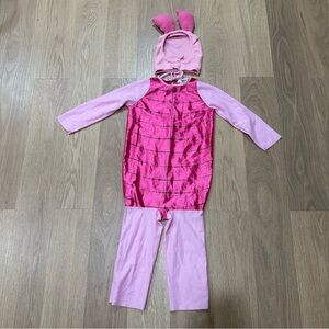 Piglet from Winnie the Pooh  Costume